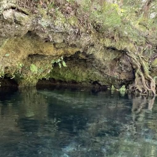limestone shelf on the Cody Escarpment. JT